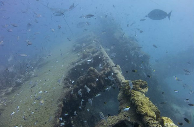 Discover-the-SS-Yongala-Shipwreck